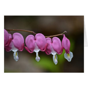 Carte pour notes du coeur saignant