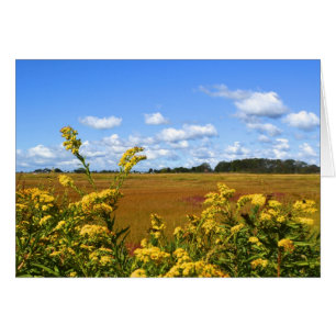 Carte pour notes du marais de Seashore