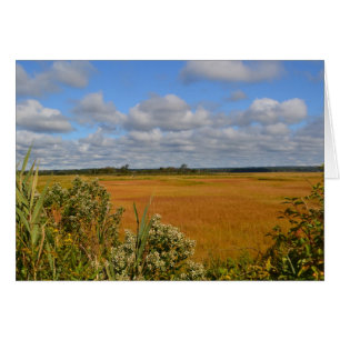Carte pour notes du marais salé