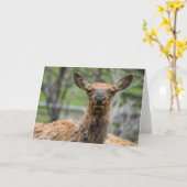 Carte pour notes Elk américain (Fleur jaune)