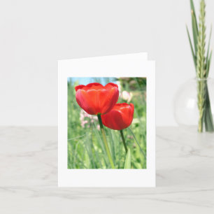 Carte pour notes floral blanc