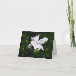 Carte pour notes floral de bourgeonnement de