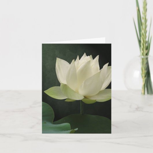 Carte pour notes floral de fleur de Lotus blanc (Devant)