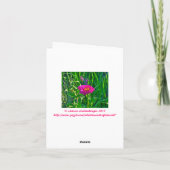 CARTE POUR NOTES, FLORAL (ROSE) (Dos)