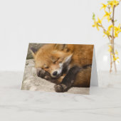 Carte pour notes Fox couché (Fleur jaune)