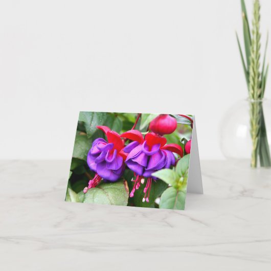 Carte pour notes Fuschia (Devant)