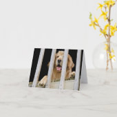 Carte pour notes Golden Retriever (Fleur jaune)