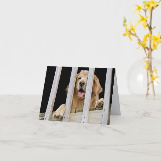 Carte pour notes Golden Retriever (Fleur jaune)