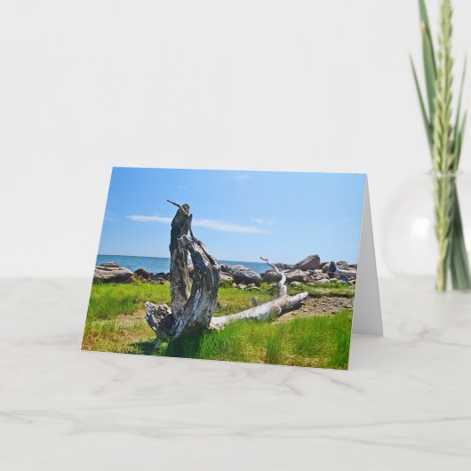 Carte pour notes Hammonasset (Devant)
