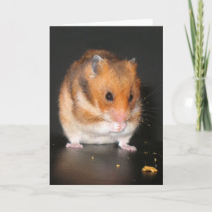Carte pour notes Hamster