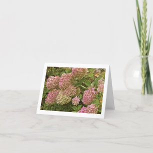 carte pour notes "HYDRANGEA"