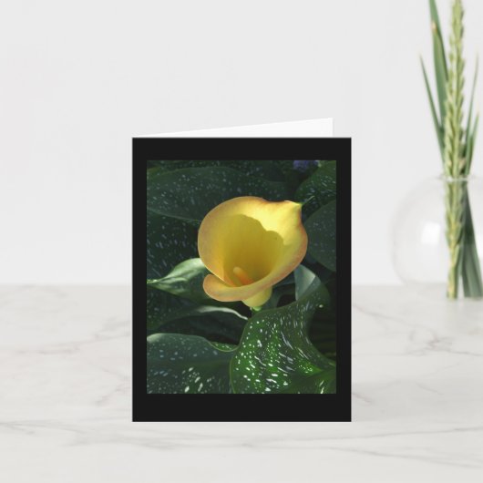 Carte pour notes jaune Calla Lily (Devant)