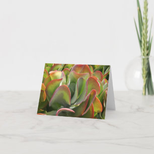 Carte pour notes Kalanchoe