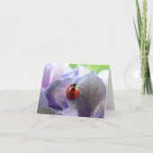 Carte pour notes LadyBug (Devant)