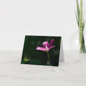 Carte pour notes magenta de fleur sauvage (Devant)