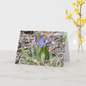 Carte pour notes nain mis en danger d'iris de lac (Fleur jaune)