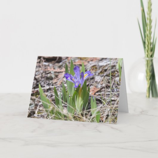 Carte pour notes nain mis en danger d'iris de lac (Devant)