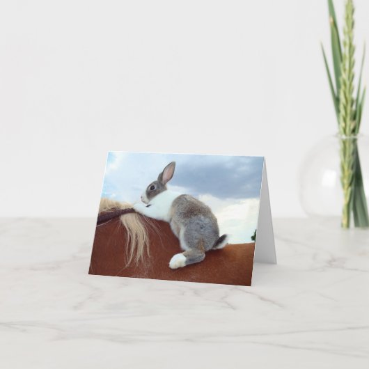 Carte pour notes néerlandais de cheval (Devant)