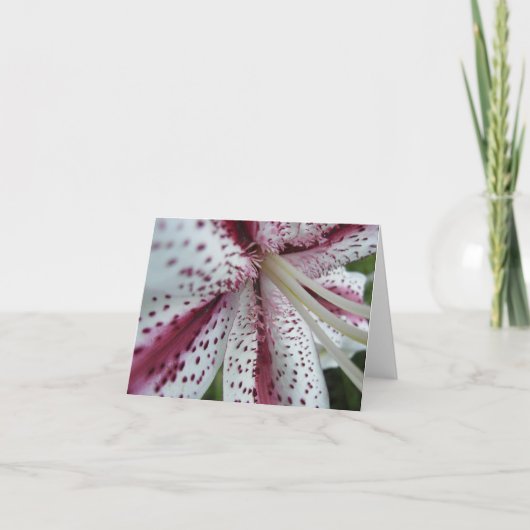 Carte pour notes oriental (Devant)