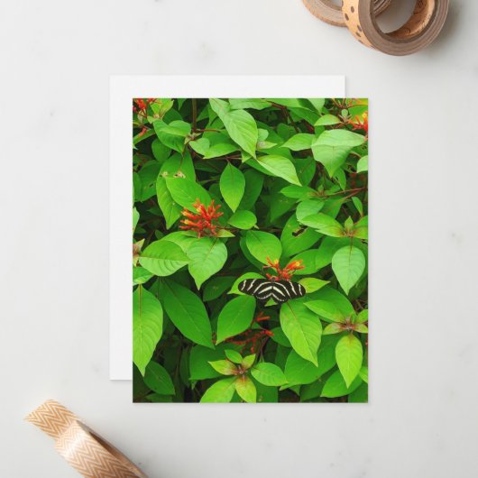 Carte pour notes papillon (Devant/Arrière en situation)