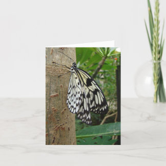 Carte pour notes papillon de riz
