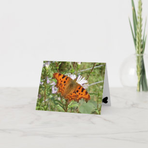 Carte pour notes papillon - virgule
