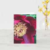 carte pour notes/PHOTOGRAPHIE "PEONY COLORED" ROSE (Fleur jaune)
