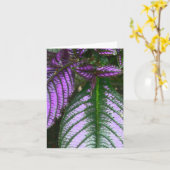 carte pour notes/PLANTE/PURPLE ET VERT/PERSIAN SHI (Fleur jaune)