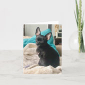 carte pour notes plié (Devant)