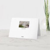 Carte pour notes rêveur d'été (Dos)