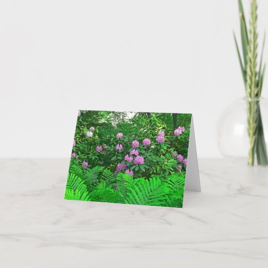 carte pour notes "RHODODENDRON & FERNS" (Devant)