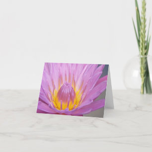 Carte pour notes rose de nénuphar