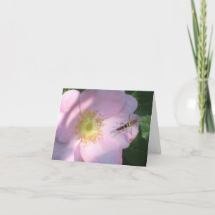 Carte pour notes Rose sauvage