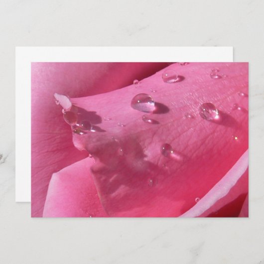 Carte pour notes Rose Tour Eiffel (Devant / Derrière)