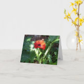 Carte pour notes rouge de marguerite de Gerbera (Fleur jaune)