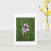Carte pour notes sauvage d'orchidée (Fleur jaune)