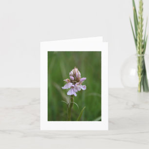 Carte pour notes sauvage d'orchidée