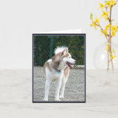 Carte pour notes sibérien Husky (Fleur jaune)