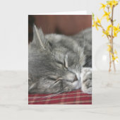Carte pour notes Tabby Cat (Fleur jaune)