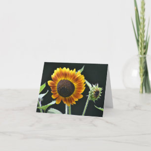 Carte pour notes tournesol