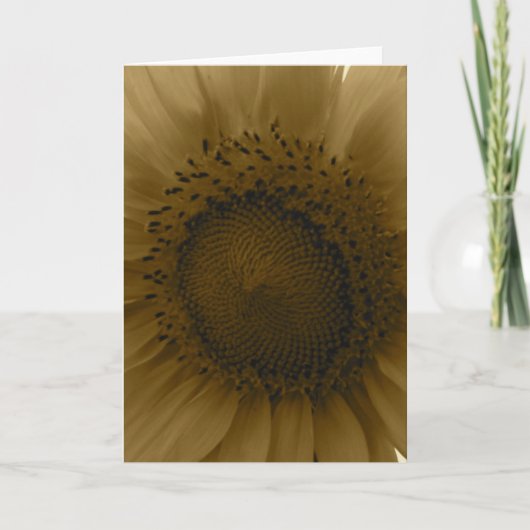 Carte pour notes tournesol (Devant)