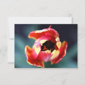 Carte pour notes Tulip (Devant)