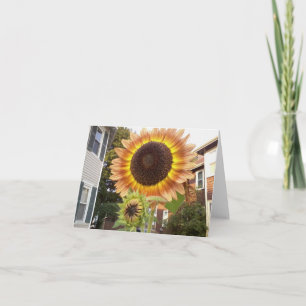 Carte pour notes urbain de jardins