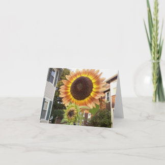 Carte pour notes urbain de jardins