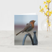 Carte pour notes vide avec Robin britannique (Fleur jaune)