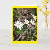Carte pour notes vide Bloodroot (Fleur jaune)