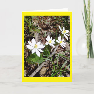 Carte pour notes vide Bloodroot