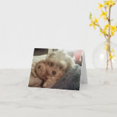 Carte pour notes vide de Furiends Furever de (Fleur jaune)