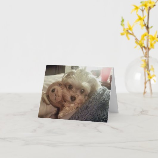 Carte pour notes vide de Furiends Furever de (Fleur jaune)