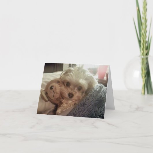 Carte pour notes vide de Furiends Furever de (Devant)